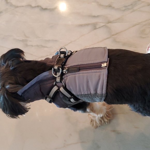 XS great dog jacket with leash hardware - Picture 9 of 14